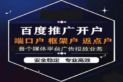 某电商平台的SEM推广策略——代运营公司的实践